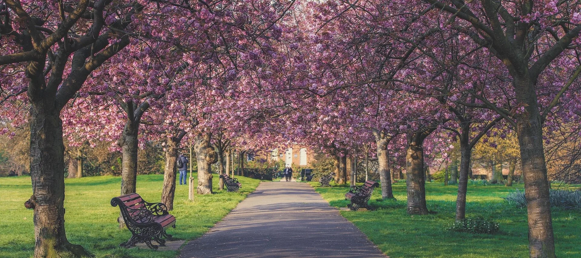 Greenwich Park