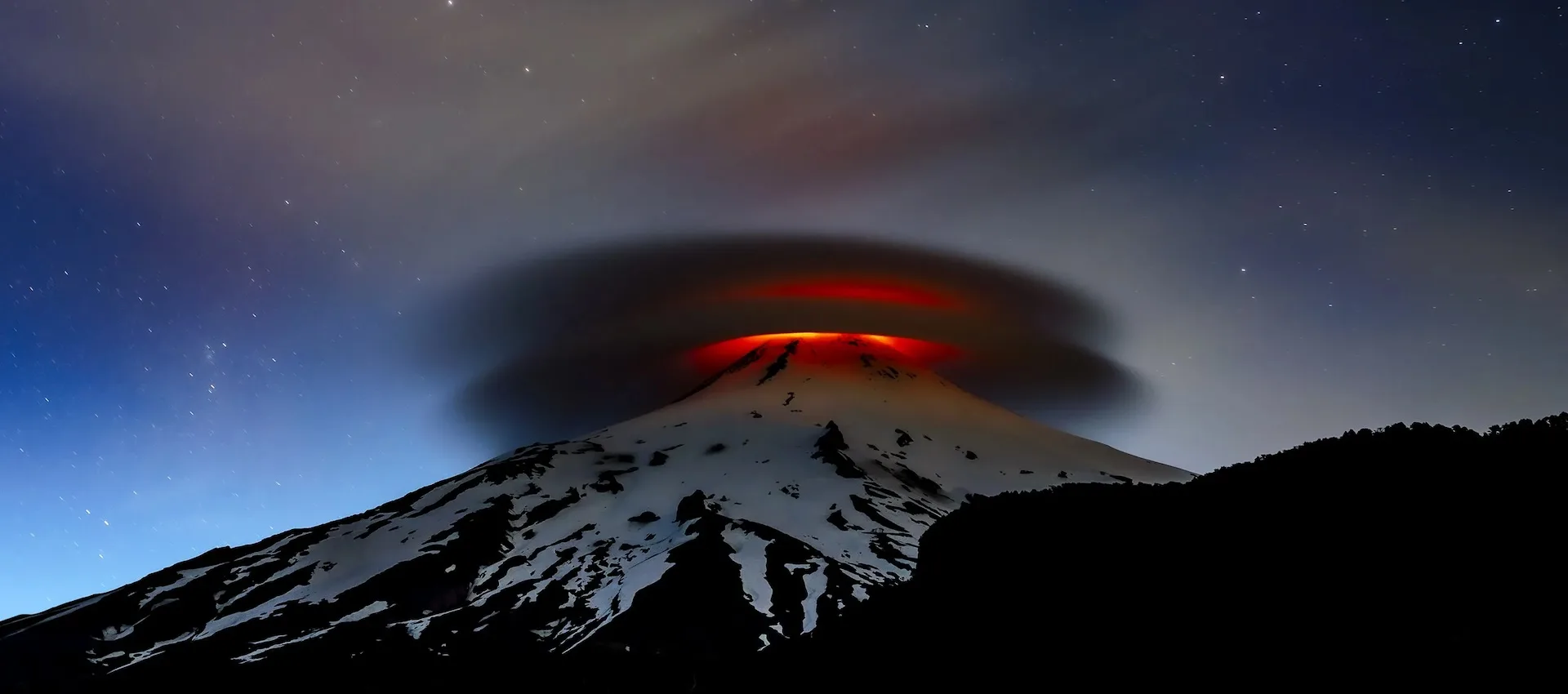 Vote For The Winner Of Wildlife Photographer of the Year
