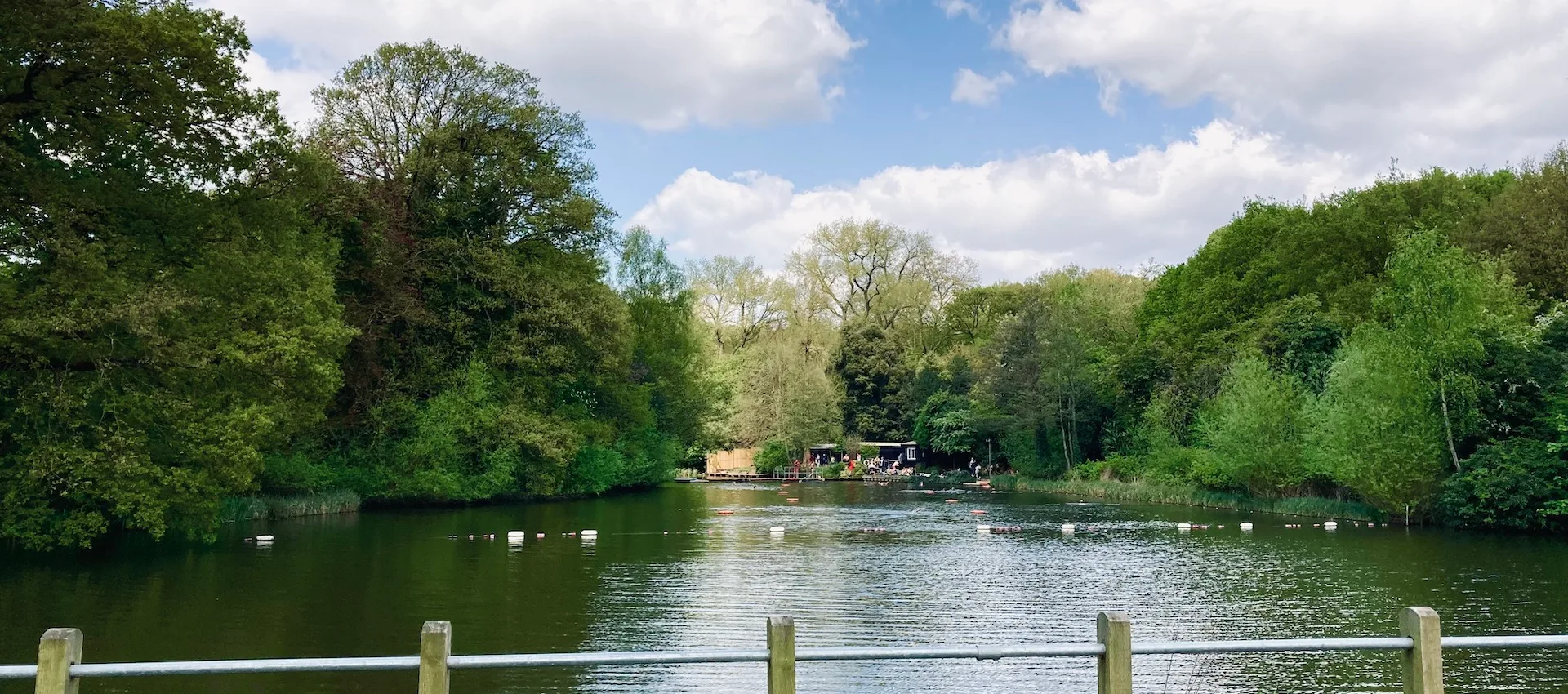 Hampstead Ponds