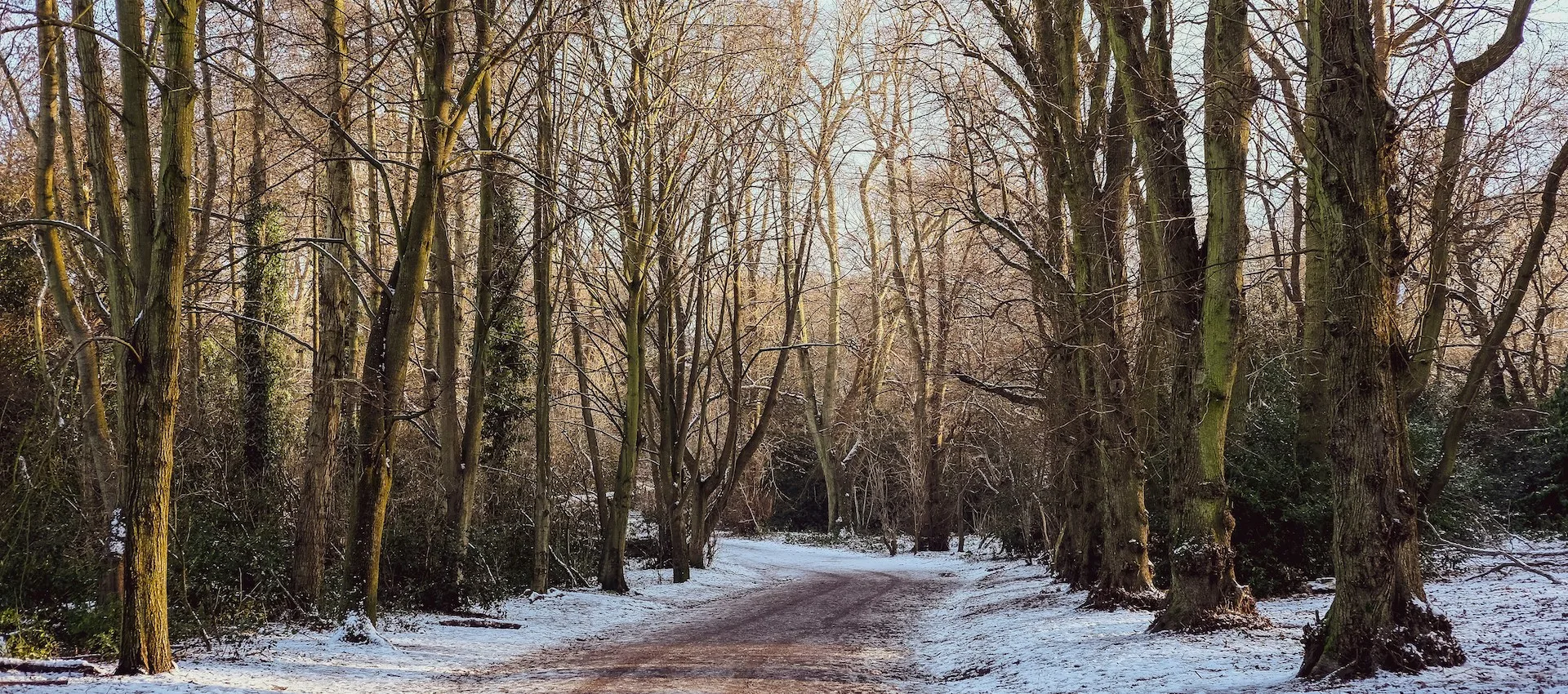 Hampstead: Your Full-Day Explorer's Itinerary