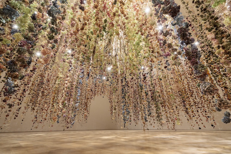 Flowers, Flora in Contemporary Art at Saatchi Gallery