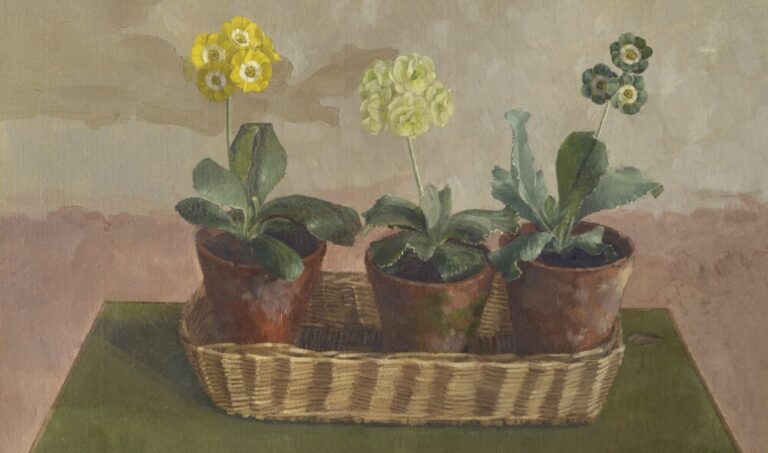 Auriculas, John Morley